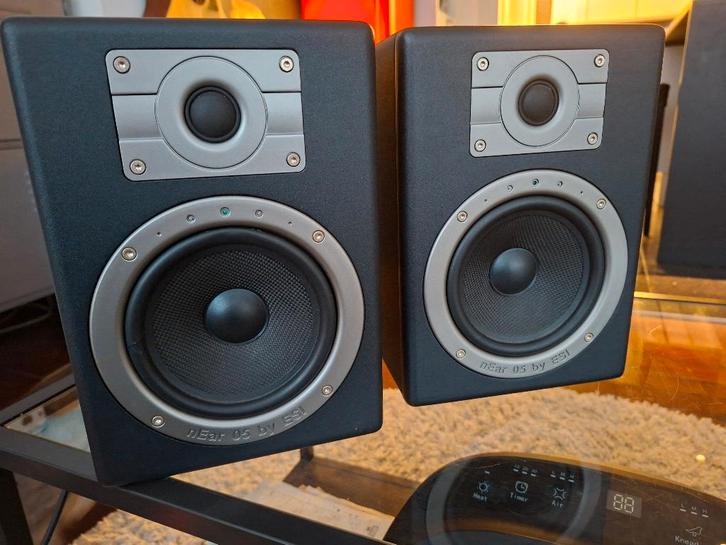 ESI nEar 05 Experience active studio monitor, Musique & Instruments, Amplis | Clavier, Moniteur & Sono, Comme neuf, Moniteur(ampli)