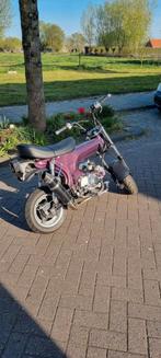Project dax, Ophalen