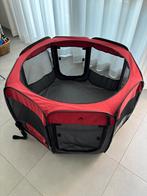 Puppy ren. Hond - dier. Als nieuw., Dieren en Toebehoren, Ophalen, Zo goed als nieuw