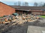 Hout, Tuin en Terras, Brandhout, 6 m³ of meer, Ophalen, Beukenhout, Blokken