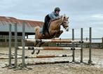 Leuke pony’s, Dieren en Toebehoren, Paarden