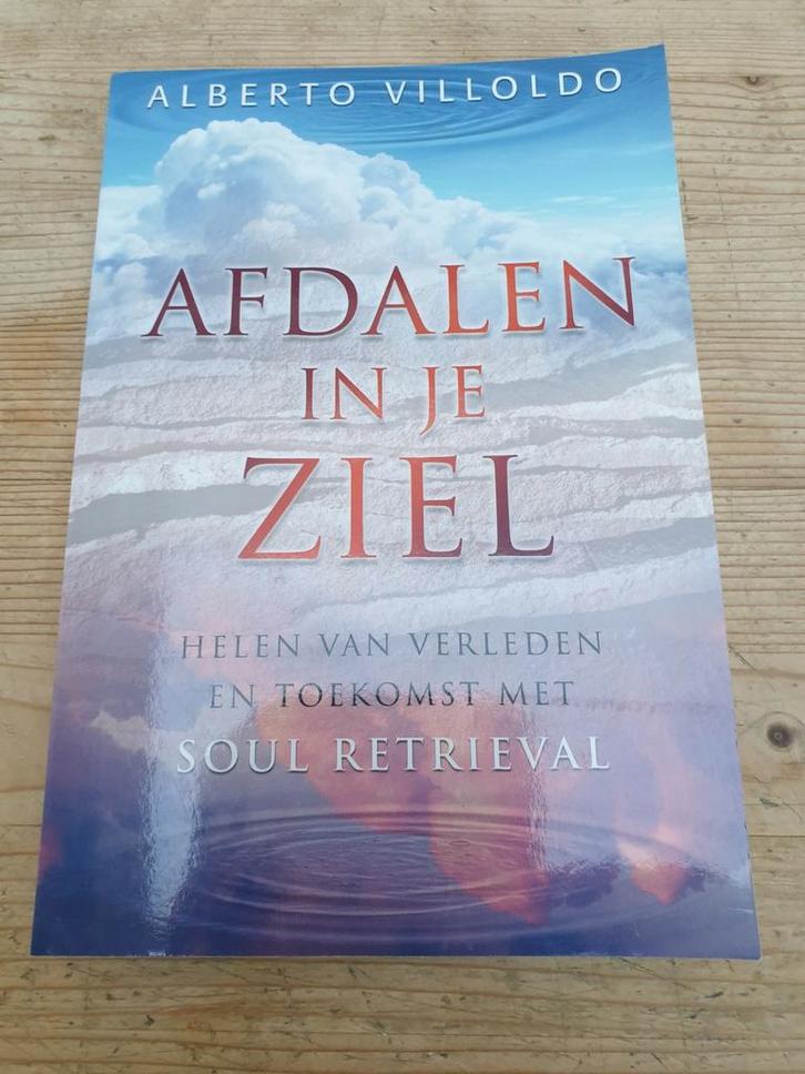 Alberto Villoldo - Afdalen in je ziel.    Shamanisme, Boeken, Esoterie en Spiritualiteit, Zo goed als nieuw, Ophalen of Verzenden