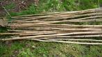 stevige bamboe stokken 40a50 stuks, Jardin & Terrasse, Poteaux, Poutres & Planches, Enlèvement ou Envoi