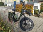 FIIDO T1 PRO Cargo elektrische fiets 750W dikke band 20x4", Nieuw, Overige merken, Ophalen of Verzenden