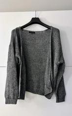 Lola & Liza grijze gilet, Vêtements | Femmes, Enlèvement ou Envoi, Lola & Liza, Porté, Taille 46/48 (XL) ou plus grande