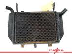 RADIATEUR TL 1000 R 1998-2003 (TL1000R) (422131-8370), Motoren, Gebruikt