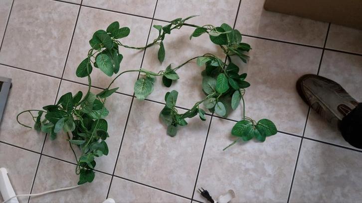 gerief voor terrarium, Dieren en Toebehoren, Reptielen en Amfibieën | Toebehoren, Ophalen