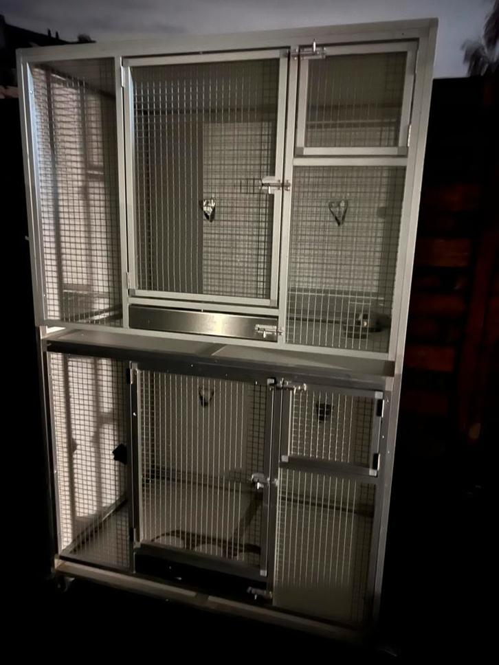 Kweekkooien, Dieren en Toebehoren, Vogels | Parkieten en Papegaaien