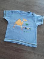 Lichtblauw t-shirt met dromedaris- 12 maand, Kinderen en Baby's, Babykleding | Maat 80, Shirtje of Longsleeve, Ophalen of Verzenden