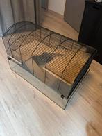Hamsterkooi groot met veel toebehoren 71x41x46, Ophalen, Zo goed als nieuw