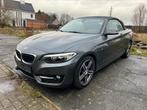 220d cabrio 2015 BJ, Auto's, 1995 cc, Euro 6, 4 cilinders, Leder