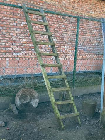 Decoratieve houten tuin ladder  beschikbaar voor biedingen