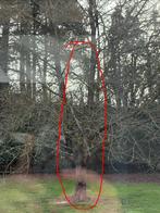 Cerisier gratuit pour le bois de chauffage, Jardin & Terrasse, Bois de chauffage, Enlèvement, Autres essences de bois, Troncs d'arbres