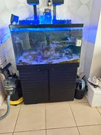 Redsea max250 aquarium met techniek, Dieren en Toebehoren, Ophalen, Gebruikt, Leeg aquarium