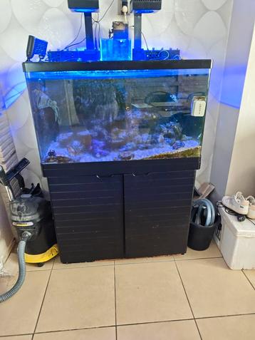 Redsea max250 aquarium met techniek  beschikbaar voor biedingen