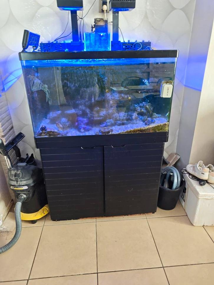 Redsea max250 aquarium met techniek, Dieren en Toebehoren, Vissen | Aquaria en Toebehoren, Gebruikt, Leeg aquarium, Ophalen