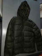 Warme jas, Ophalen of Verzenden, Maat 52/54 (L)