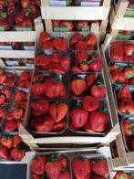 fraise Belge, Jardin & Terrasse, Enlèvement ou Envoi