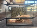 terrarium, Animaux & Accessoires, Reptiles & Amphibiens | Accessoires, Enlèvement, Utilisé, Terrarium ou Paludarium