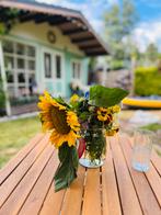 Charmante chalet netevallei