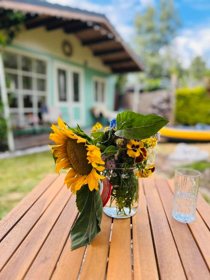 Charmante chalet netevallei, Vakantie, Vakantiehuizen | België