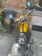Mash Fifty 50cc, Motoren, Motoren | Mash, Particulier, Toermotor, 11 kW of minder, 50 cc