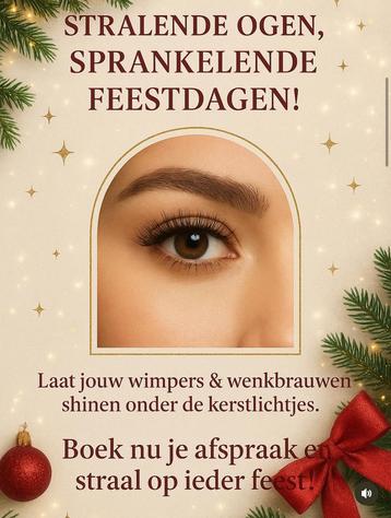 Wimpers en wenkbrauwen | kerst beschikbaar voor biedingen