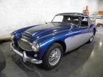 Austin healey 3000MK2 projet, Boîte manuelle, Bleu, Achat, 3000 cm³