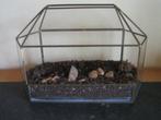 mini serre in glas voor bv cactussen of vetplanten, Tuin en Terras, Ophalen, Zo goed als nieuw, Metaal