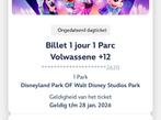 2 tickets disneyland parijs, Twee personen, Ticket of Toegangskaart