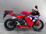 CBR600R de 2025 accidentée, Motoren, Motoren | Honda, 4 cilinders, Bedrijf, Super Sport, Meer dan 35 kW