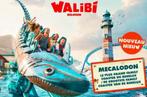 Walibi tickets voor volwassenen tot eind september, Drie personen of meer, Overige typen