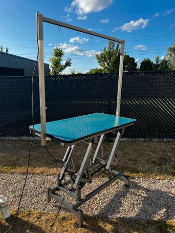 Ravenstein elektrische trimtafel size king 123x68cm beschikbaar voor biedingen