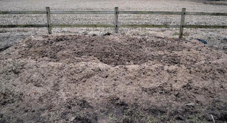 Paardenmest gratis te Schriek. Super kwaliteit !, Tuin en Terras, Aarde en Mest, Mest, Ophalen