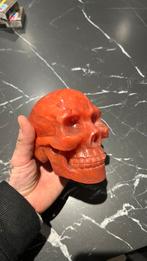 Grote kersenopaal schedel