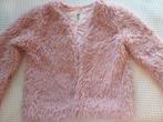 roze trui / gilet +- 140, Kinderen en Baby's, Kinderkleding | Maat 134, Gebruikt, Meisje, Trui of Vest, Ophalen of Verzenden