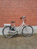 Trek elektrische fiets met 2 batterijen, Fietsen en Brommers, Ophalen of Verzenden, Zo goed als nieuw