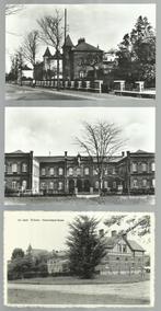 3 x GEEL  -  Kolonie  - zie scan, Verzamelen, Verzenden, 1940 tot 1960, Ongelopen, Antwerpen