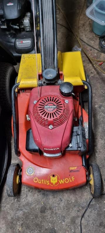 Tondeuse wolf TAKF51 Tondeuse professionnelle  beschikbaar voor biedingen