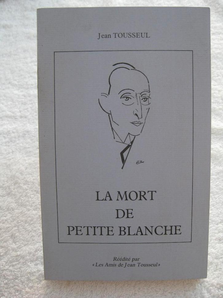 Jean Tousseul - Andenne – 1918 1988, Boeken, Geschiedenis | Nationaal, Gelezen, Ophalen of Verzenden