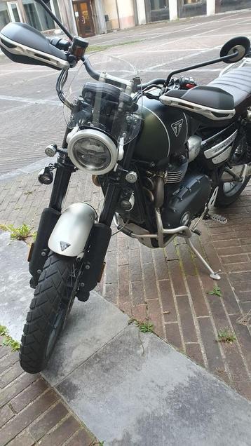 Pare brise Triumph Scrambler neuf