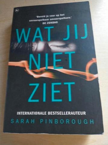 Sarah Pinborough - Wat jij niet ziet beschikbaar voor biedingen