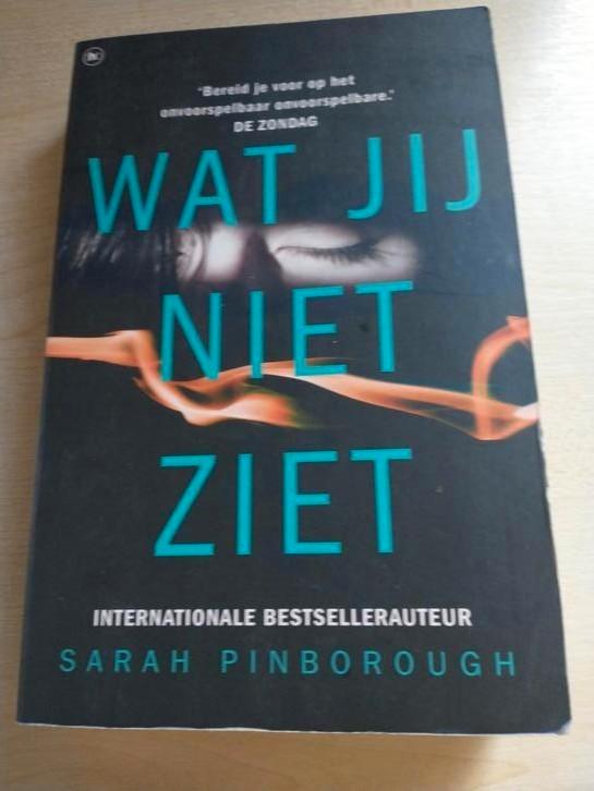 Sarah Pinborough - Wat jij niet ziet, Boeken, Thrillers, Gelezen, Ophalen of Verzenden
