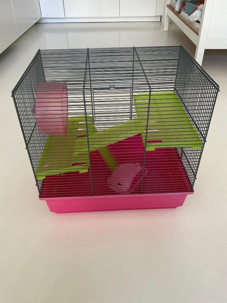 Hamsterkooi, Dieren en Toebehoren, Knaagdieren en Konijnen | Hokken en Kooien, Gebruikt, Overige typen, Minder dan 60 cm, Minder dan 75 cm
