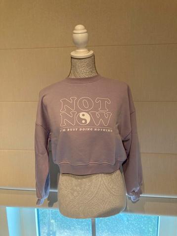 Sweater Not now, lila, maar XS - 13 jaar beschikbaar voor biedingen