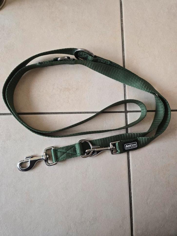 AniOne Laisse en nylon neuve Classic 2-couches vert L, Animaux & Accessoires, Laisses pour chiens, Enlèvement