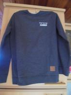 Chiro pull volwassenenS (36), Kinderen en Baby's, Kinderkleding | Maat 176, Ophalen of Verzenden, Zo goed als nieuw, Meisje, Trui of Vest