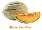 Zaden meloen cantaloupe Charentais 2024, Tuin en Terras, Ophalen of Verzenden