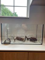 Luxe hamsterkooi met attributen, Dieren en Toebehoren