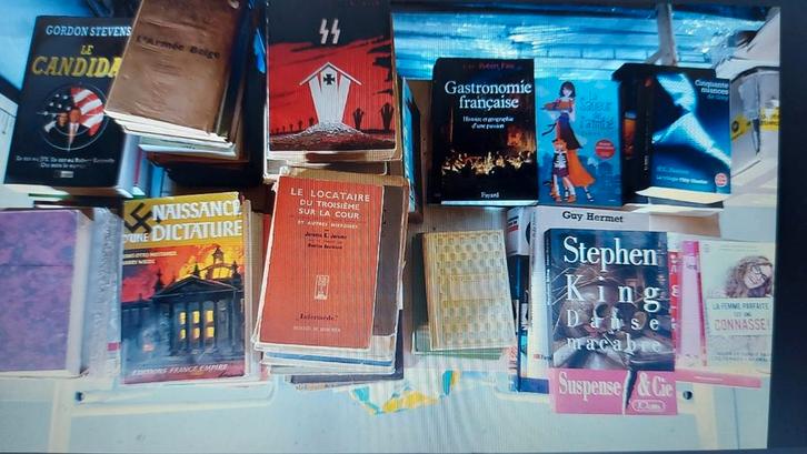 Lot important de livres en bon état, Boeken, Overige Boeken, Gelezen, Ophalen